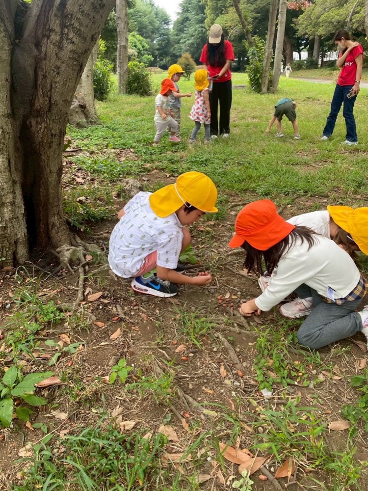 公園で自然探索をする国際色豊かな園児たち(バイリンガル保育園SVA)
